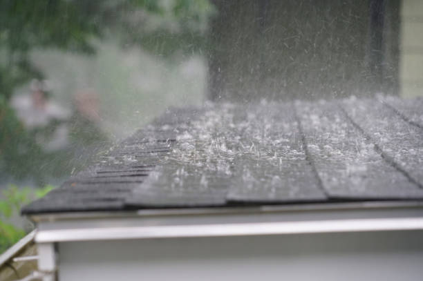 Best Cold Roofs  in Fruitland, ID